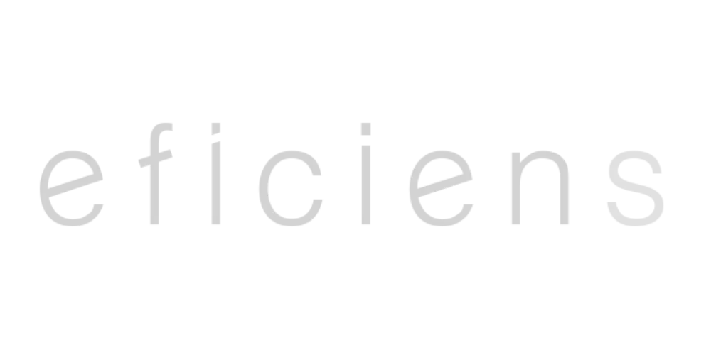 Eficiens Logo Grey