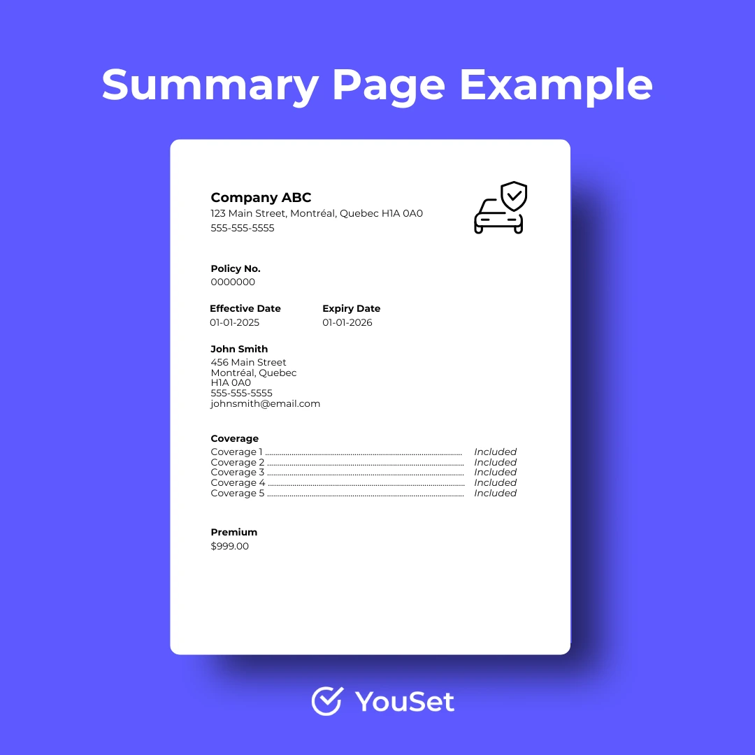 Summary Declaration Page Example - YouSet