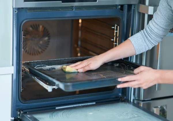 Is It Normal Wear and Tear or Damage? A Renters Guide