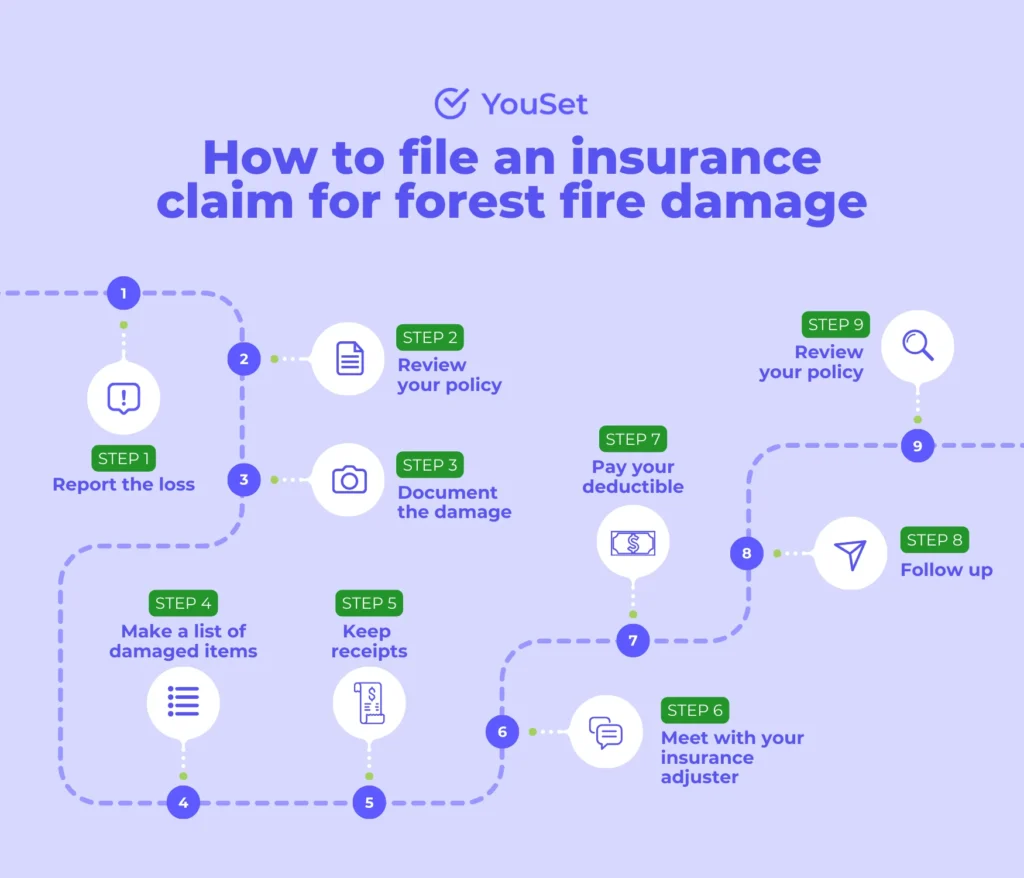 How to File an Insurance Claim for Forest Fire Damage - YouSet